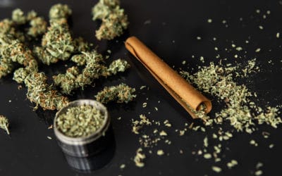 Blunt or Joint – What Makes Them Different?