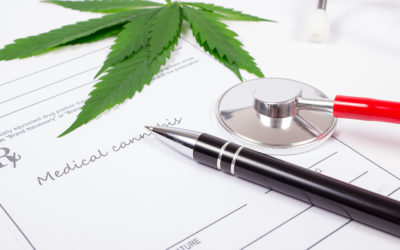 Cannabis Medical Uses Everyone Should Know