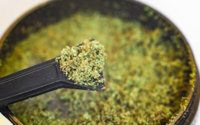 What Is “Kief” And How Do You Use It?